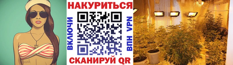 Марихуана VHQ  Купить закладки  Себеж 